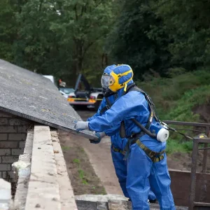 asbestos surveys